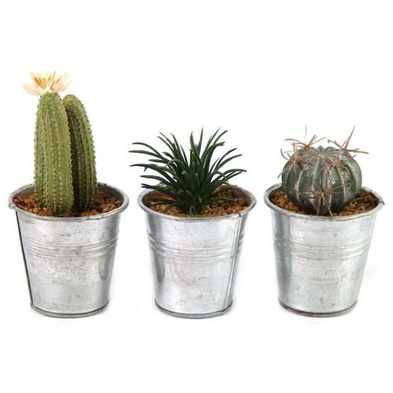 foto del prodotto pianta artificiale di cactus in vaso leia