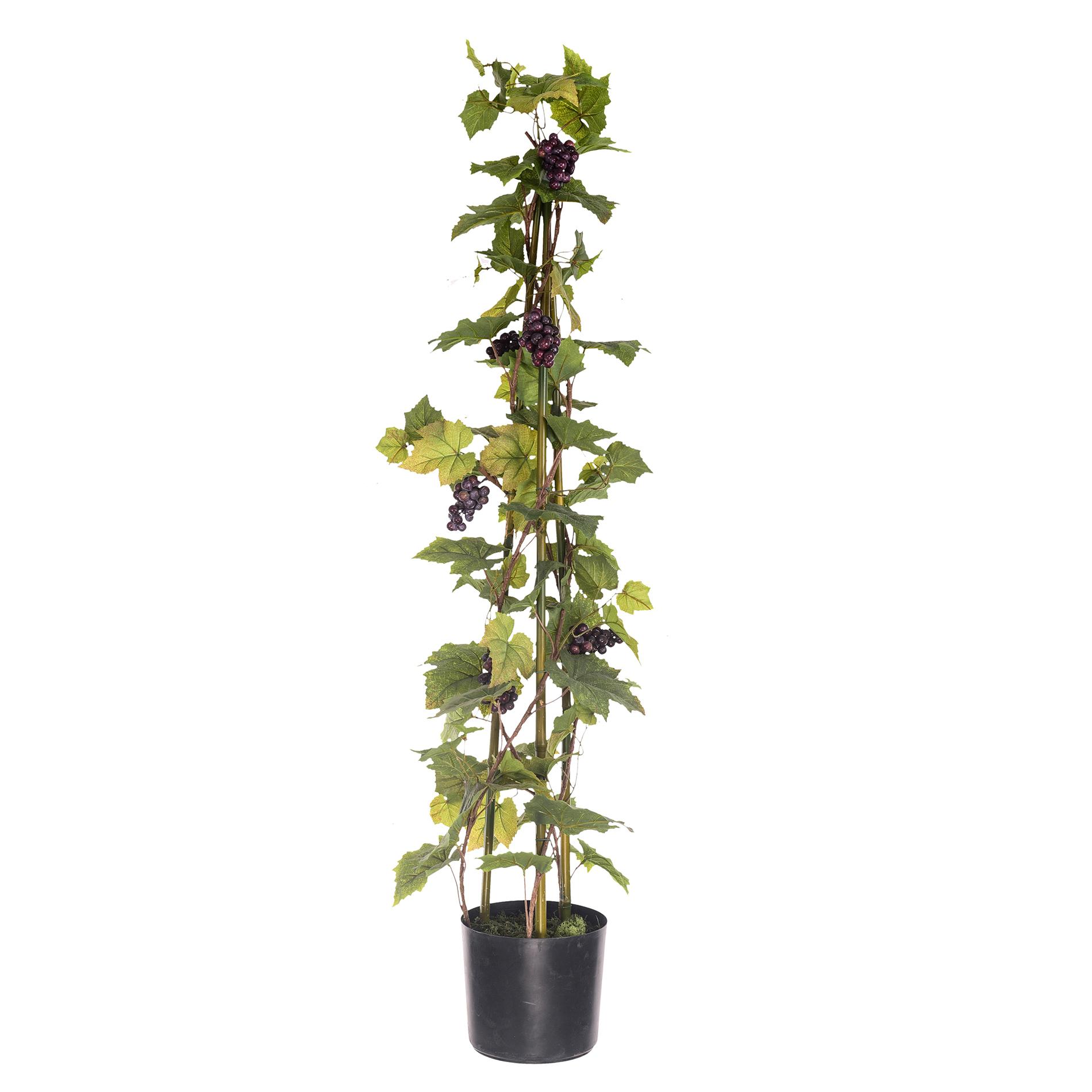 foto del prodotto pianta artificiale di vite con frutti, in vaso altezza 120 cm verde