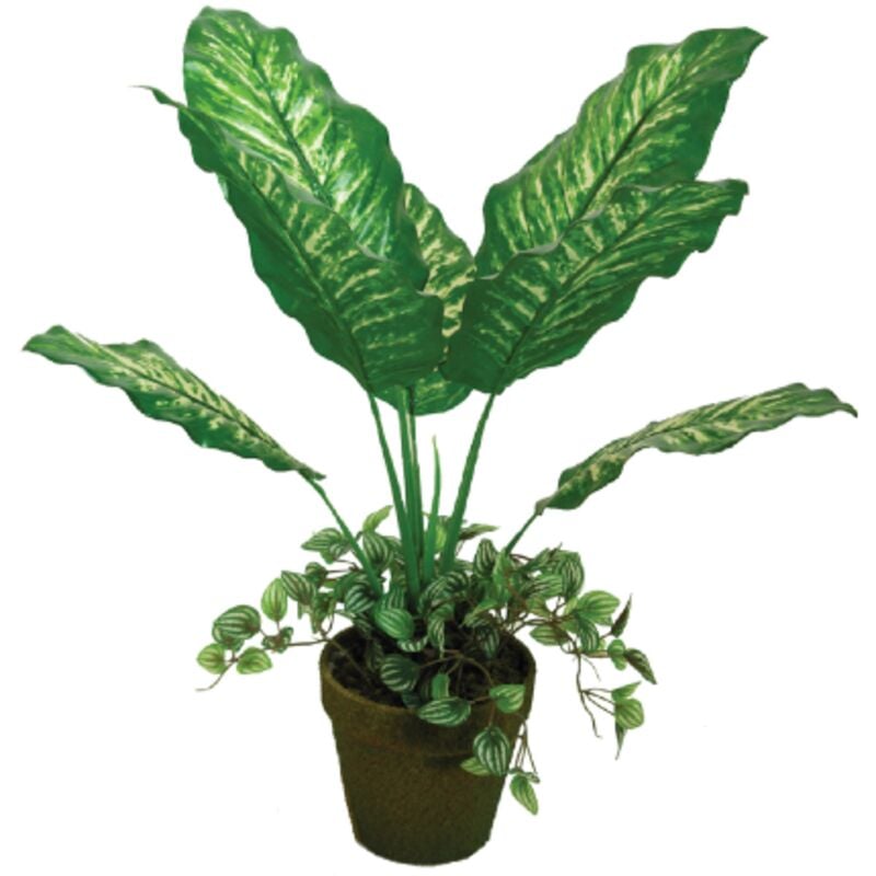 foto del prodotto pianta artificiale dieffenbachia mod. a092km altezza 55 cm decorazione casa piante finte