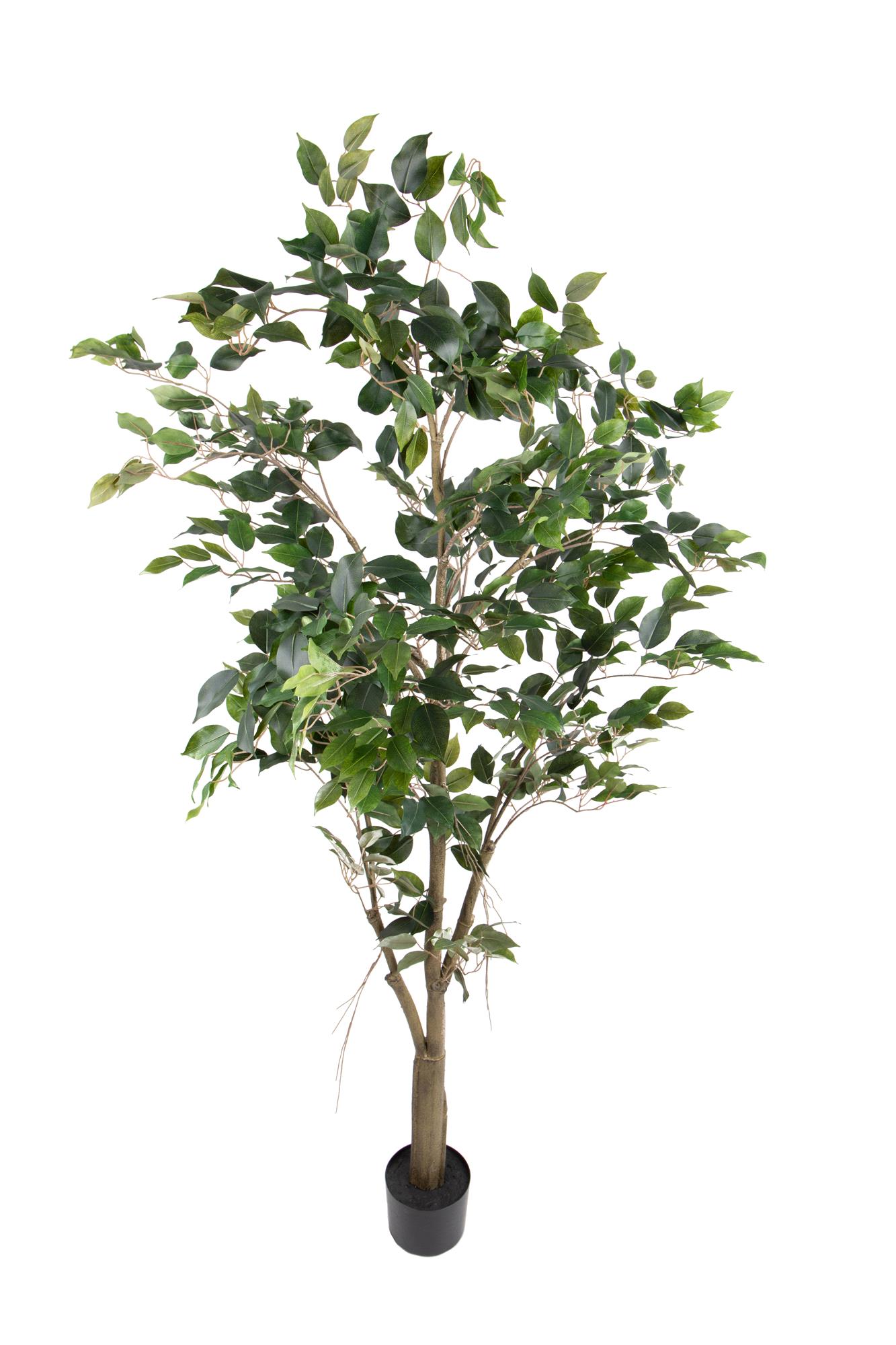 foto del prodotto pianta artificiale ficus con vaso h 183 cm