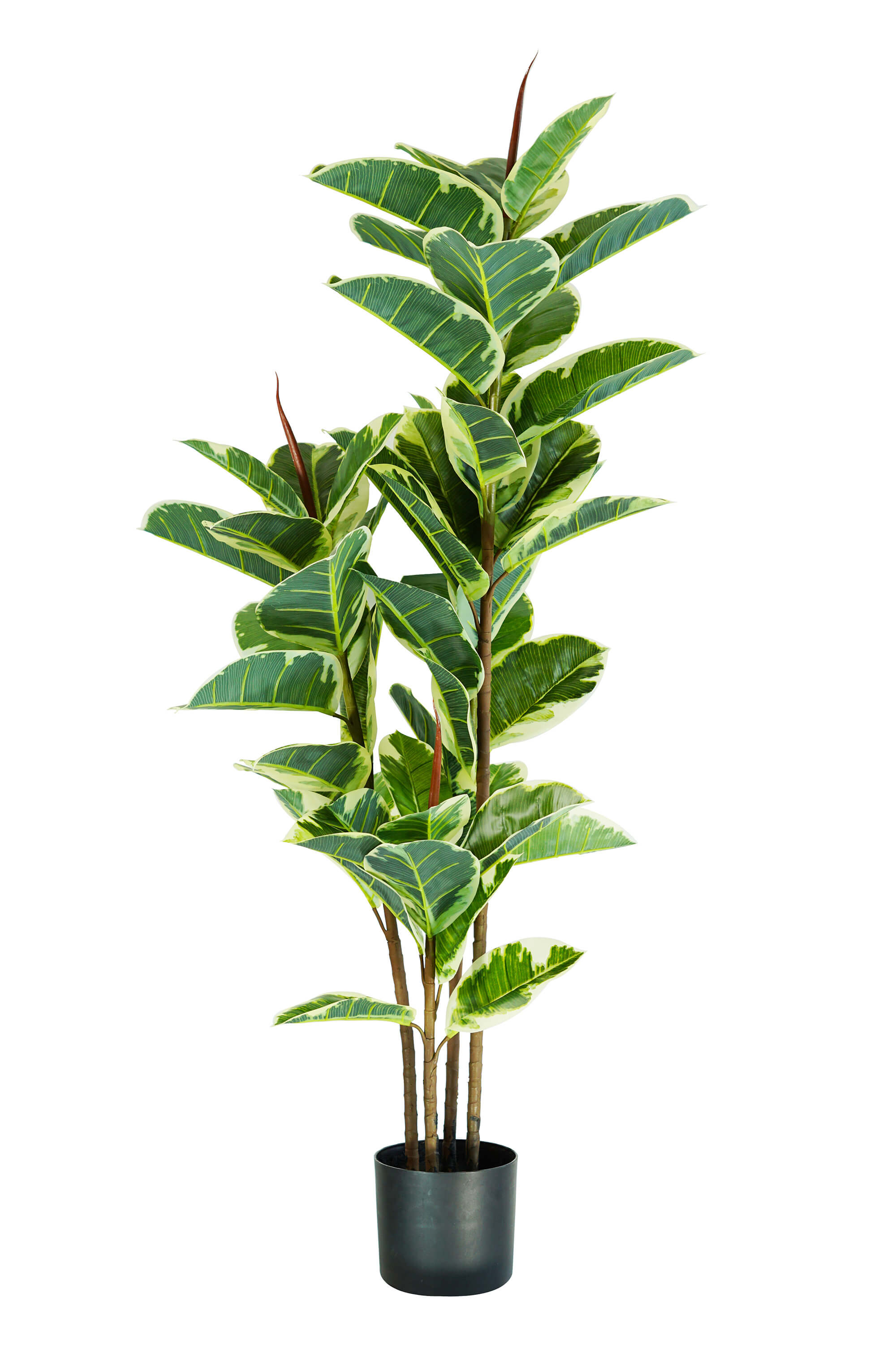 foto del prodotto pianta artificiale ficus elastica h145 cm con vaso verde