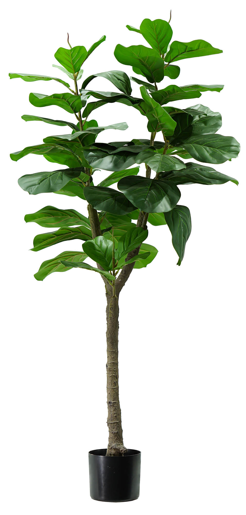 foto del prodotto pianta artificiale ficus lyrata h130 cm con vaso verde