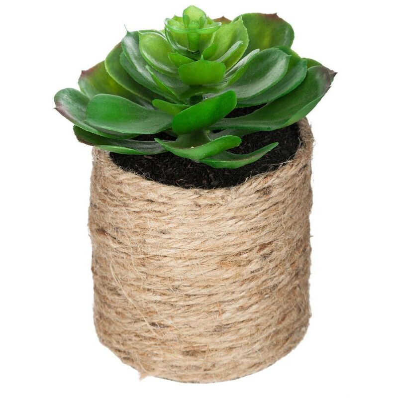 foto del prodotto pianta artificiale h16cm - modello 1 atmosphera cr ateur d'int rieur