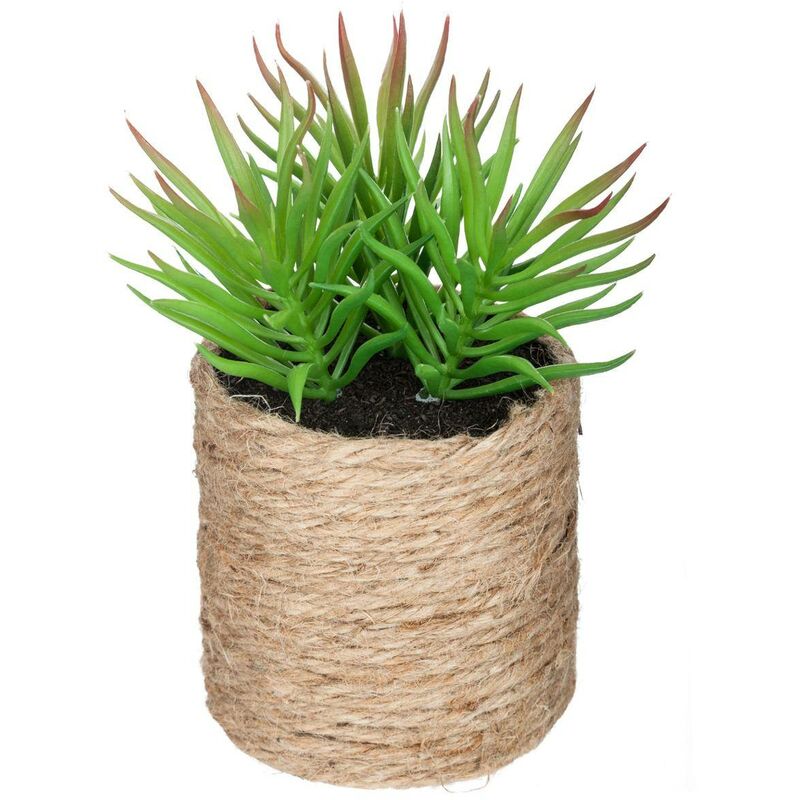 foto del prodotto pianta artificiale h16cm - modello 3 atmosphera cr ateur d'int rieur