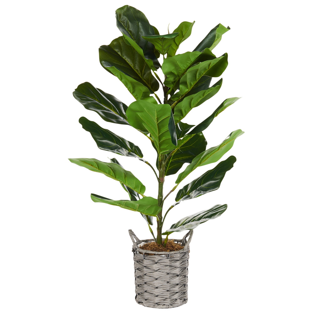 foto del prodotto pianta artificiale in vaso albero di fico 72 cm accessorio decorativo boho