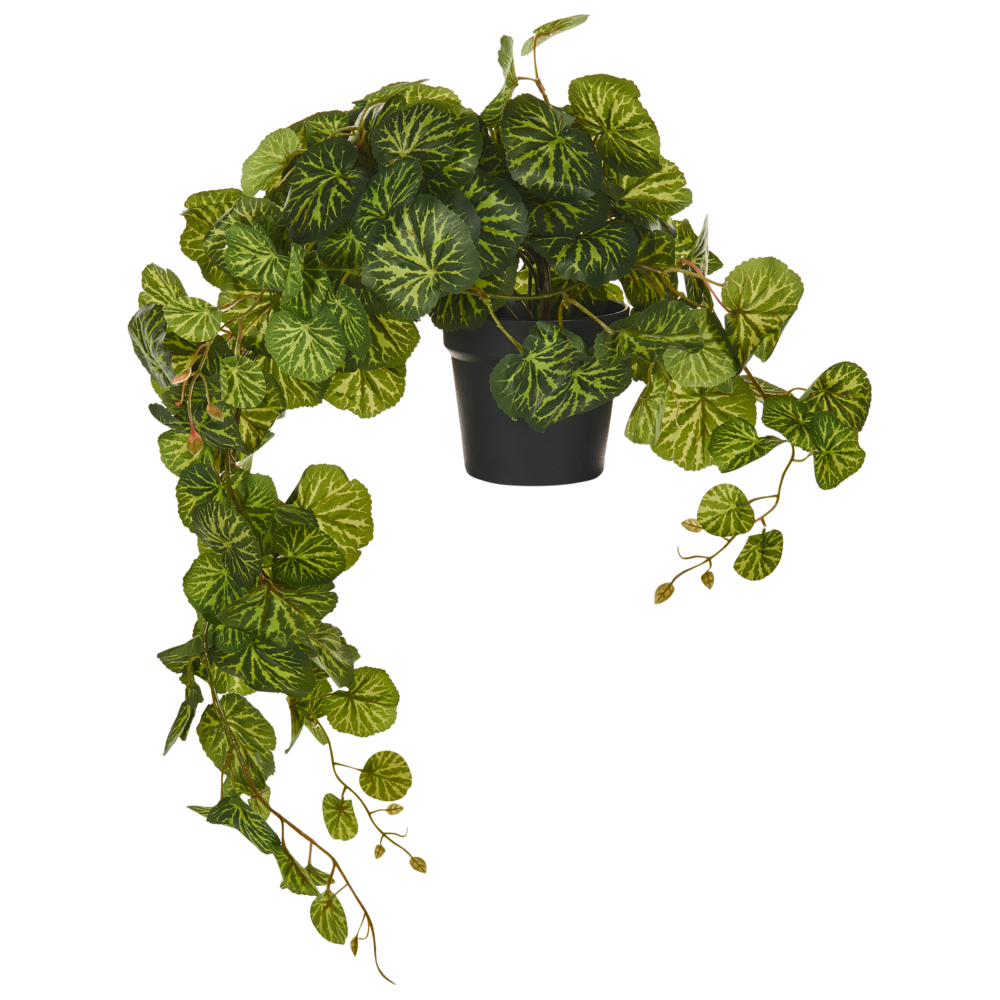 immagine 0 del prodotto pianta artificiale in vaso appesa verde e nero sintetico 37 cm materiale accessorio decorativo per interni