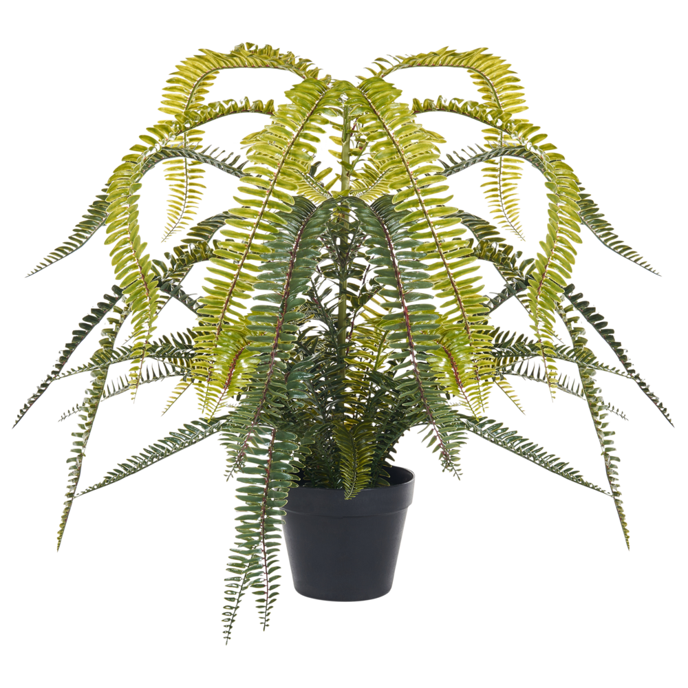 foto del prodotto pianta artificiale in vaso materiale sintetico verde e nero 105 cm pianta di foglie di felce accessorio decorativo per interni