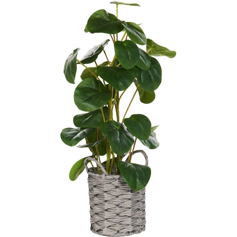 foto del prodotto pianta artificiale in vaso pilea pancake plant decorazione in plastica per uso interno 55 cm kibeti