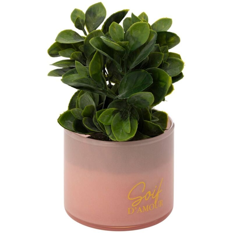 foto del prodotto pianta artificiale in vaso tayli h18cm atmosphera cr ateur d int rieur