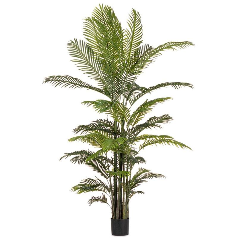 foto del prodotto pianta artificiale kenzia con vaso nero, realistica, foglie in gomma 80 cm 9 foglie