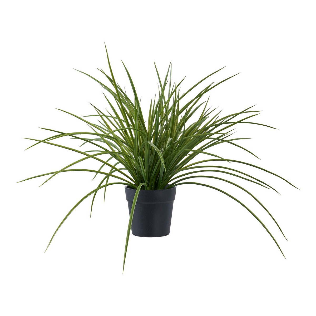 foto del prodotto pianta artificiale lovely, verde, plastica pe, 51x51x45 cm, epikasa