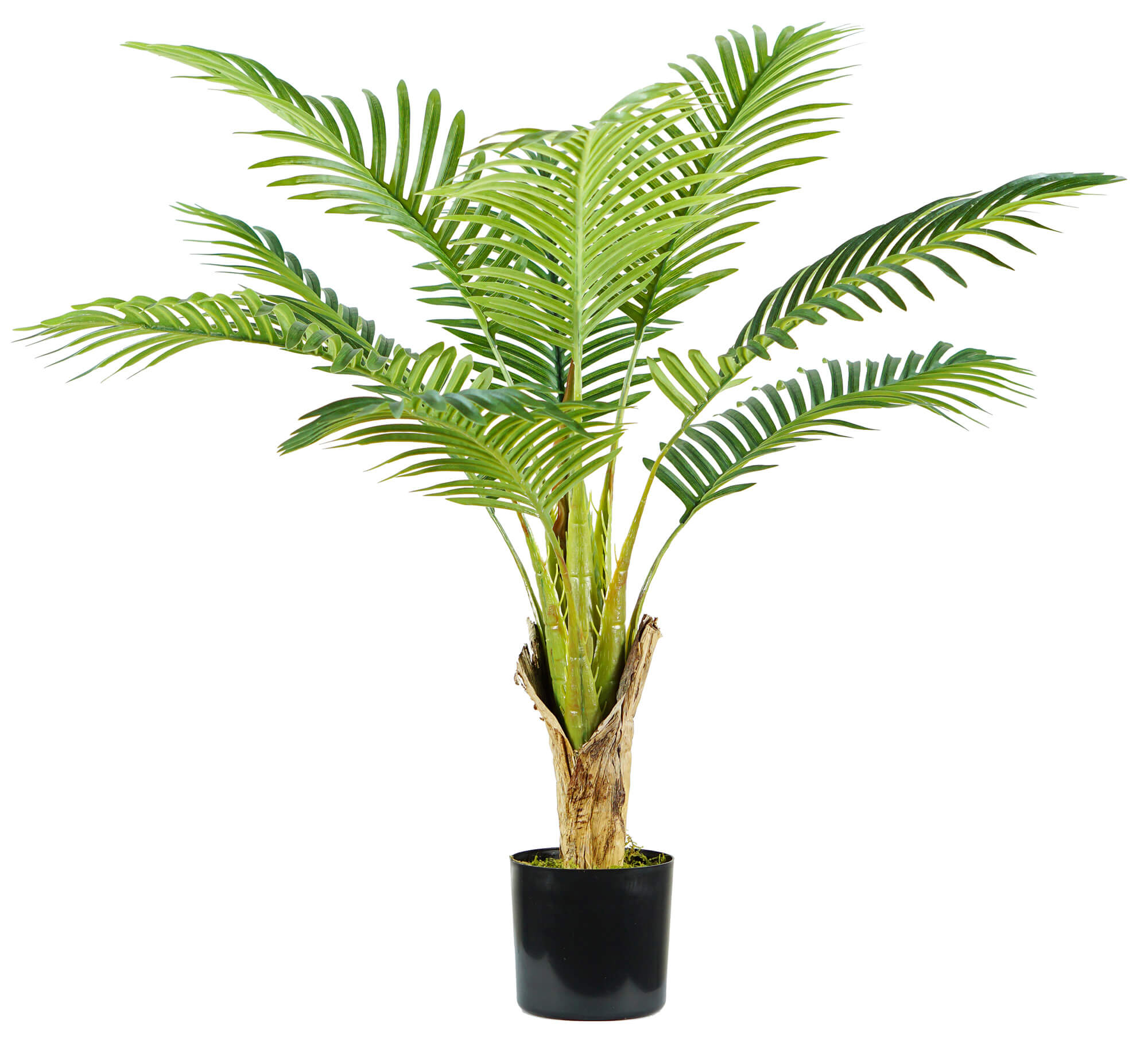 foto del prodotto pianta artificiale palma areca h90 cm con vaso verde