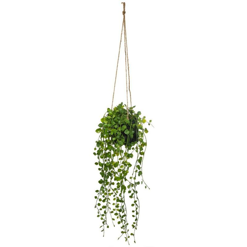foto del prodotto pianta artificiale ricadente living vaso in cemento d10cm atmosphera cr ateur d int rieur