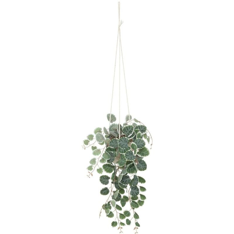 foto del prodotto pianta artificiale ricadente lourmarin vaso in cemento h80cm atmosphera cr ateur d int rieur