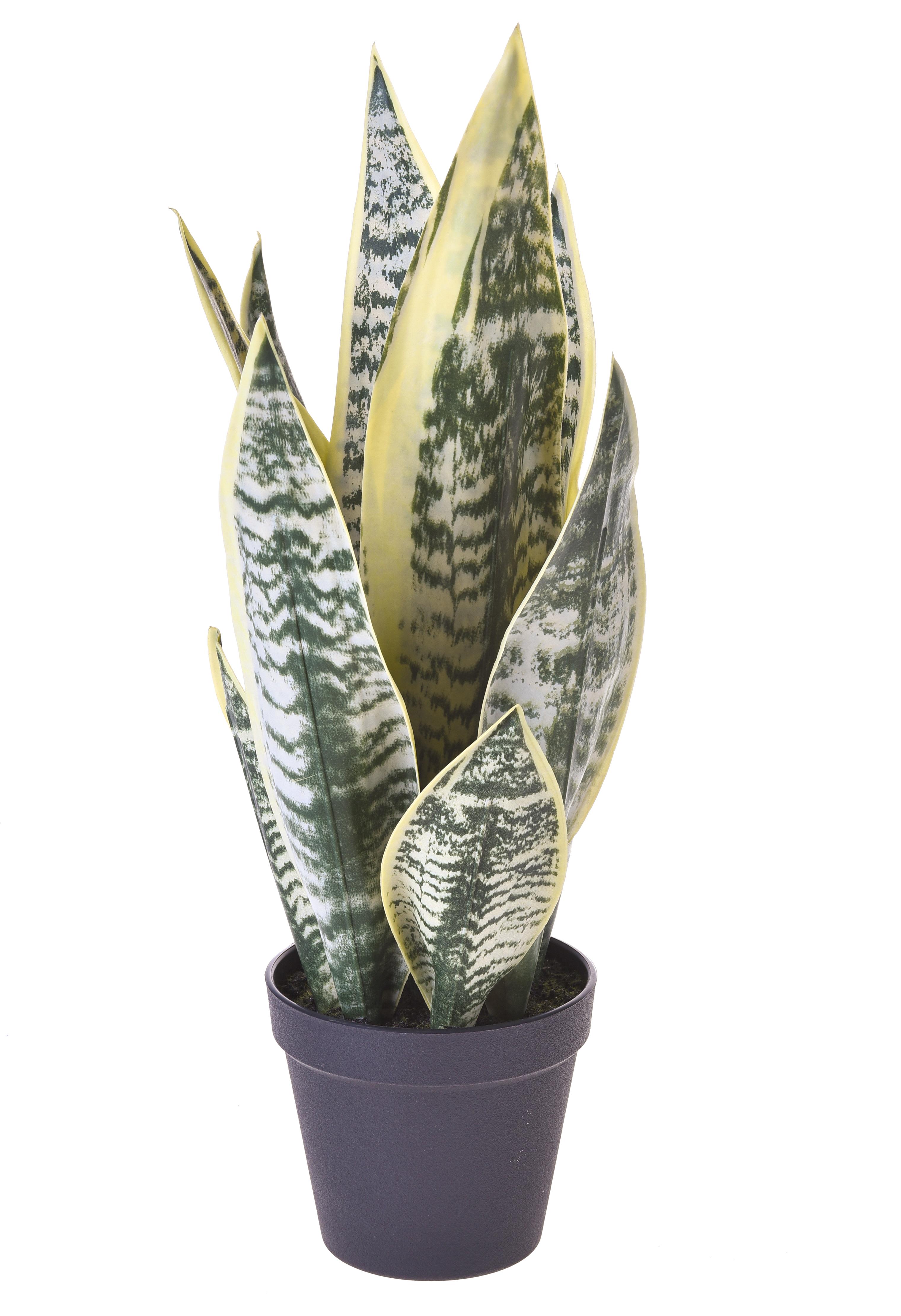 foto del prodotto pianta artificiale san severia con vaso h 47 cm