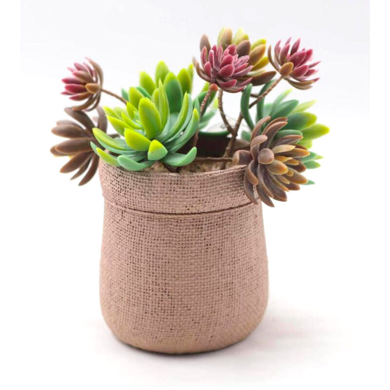 foto del prodotto pianta artificiale succulenta h21 cm con vaso verde