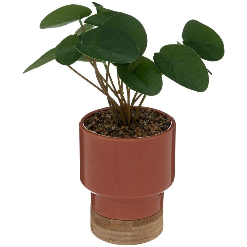 foto del prodotto pianta artificiale the collector in ceramica e bamb h26cm arancione atmosphera cr ateur d int rieur