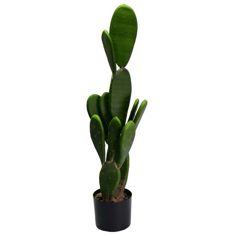 foto del prodotto pianta cactus con vaso tondo cm 14h84