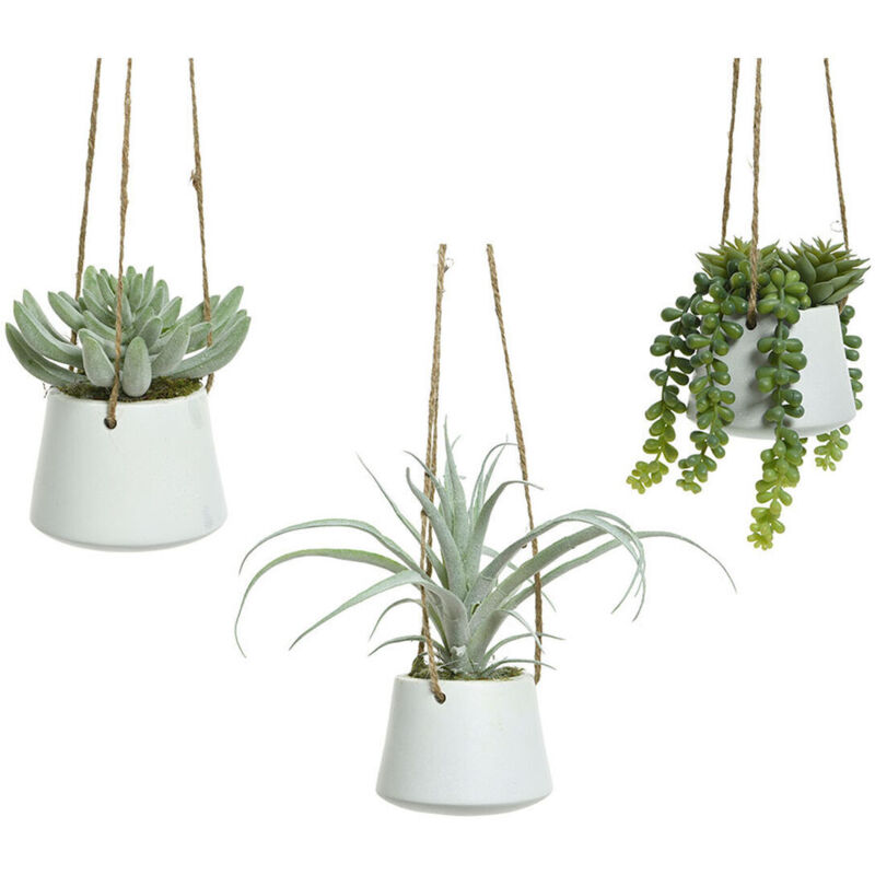 foto del prodotto pianta decorativa 800073 succulenta 20 cm riattaccare artificiale