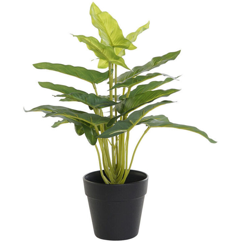 foto del prodotto pianta decorativa dkd home decor pvc polipropilene 25 x 25 x 30 cm