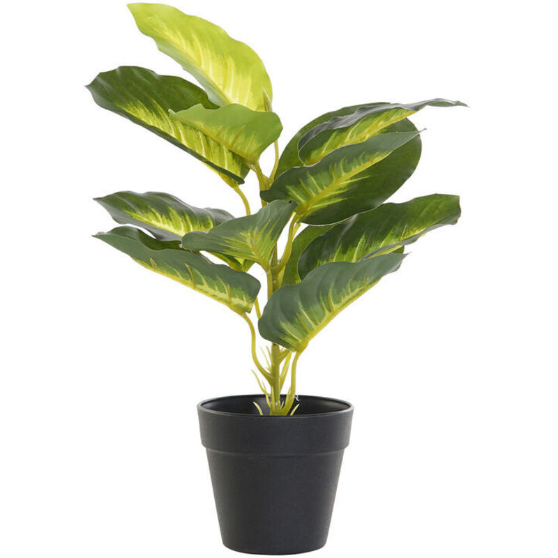 foto del prodotto pianta decorativa dkd home decor pvc polipropilene 25 x 25 x 30 cm
