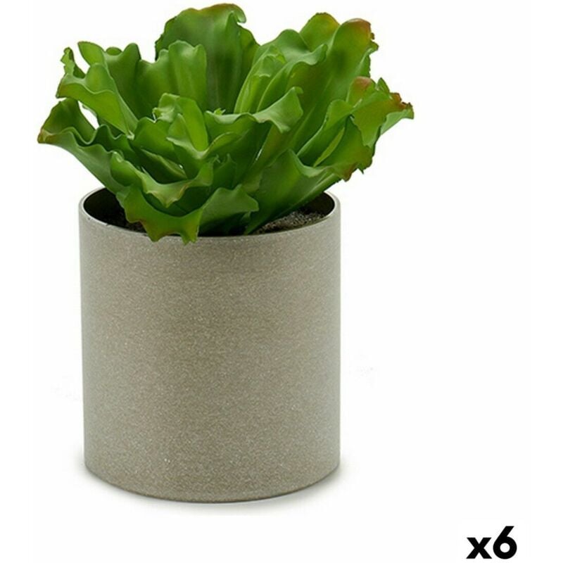 foto del prodotto pianta decorativa ibergarden 20 x 25 x 20 cm (6 unità)