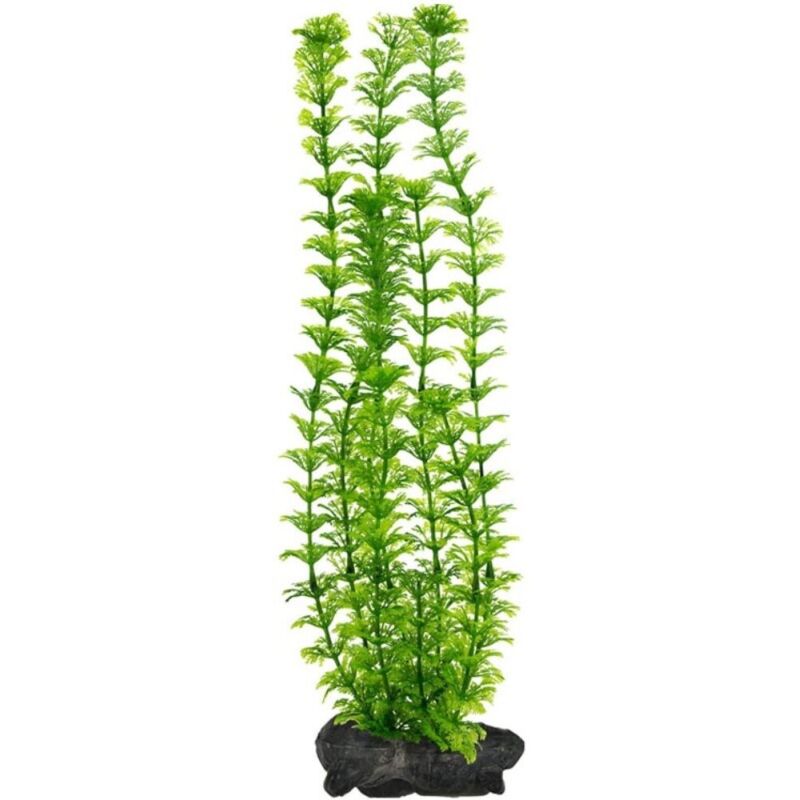 foto del prodotto pianta decorativa in plastica modello ambulia limnophila heterophylla modello l tetra