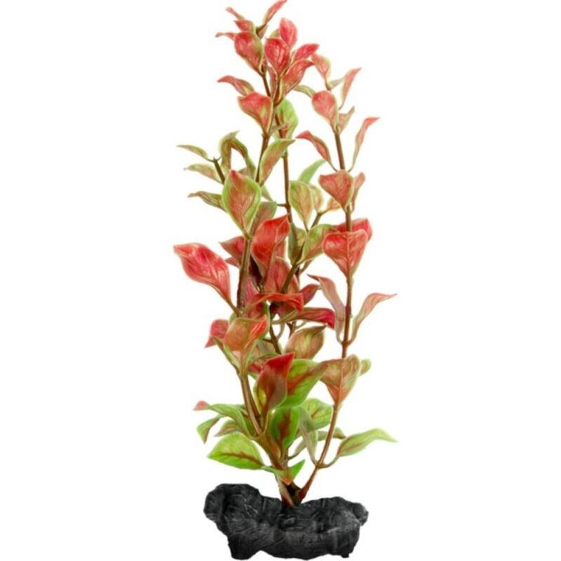 foto del prodotto pianta decorativa in plastica modello red ludwigia ludwigia repens varie misure modello s tetra