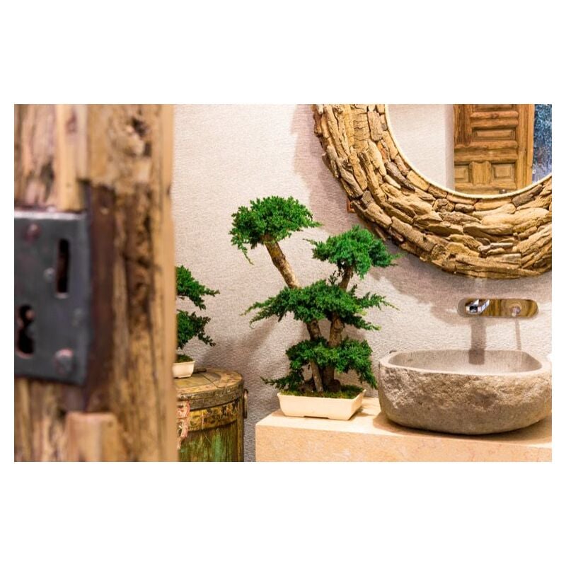 foto del prodotto pianta di bonsai ginepro stabilizzato h 50 cm no acqua e non manutenzione 
