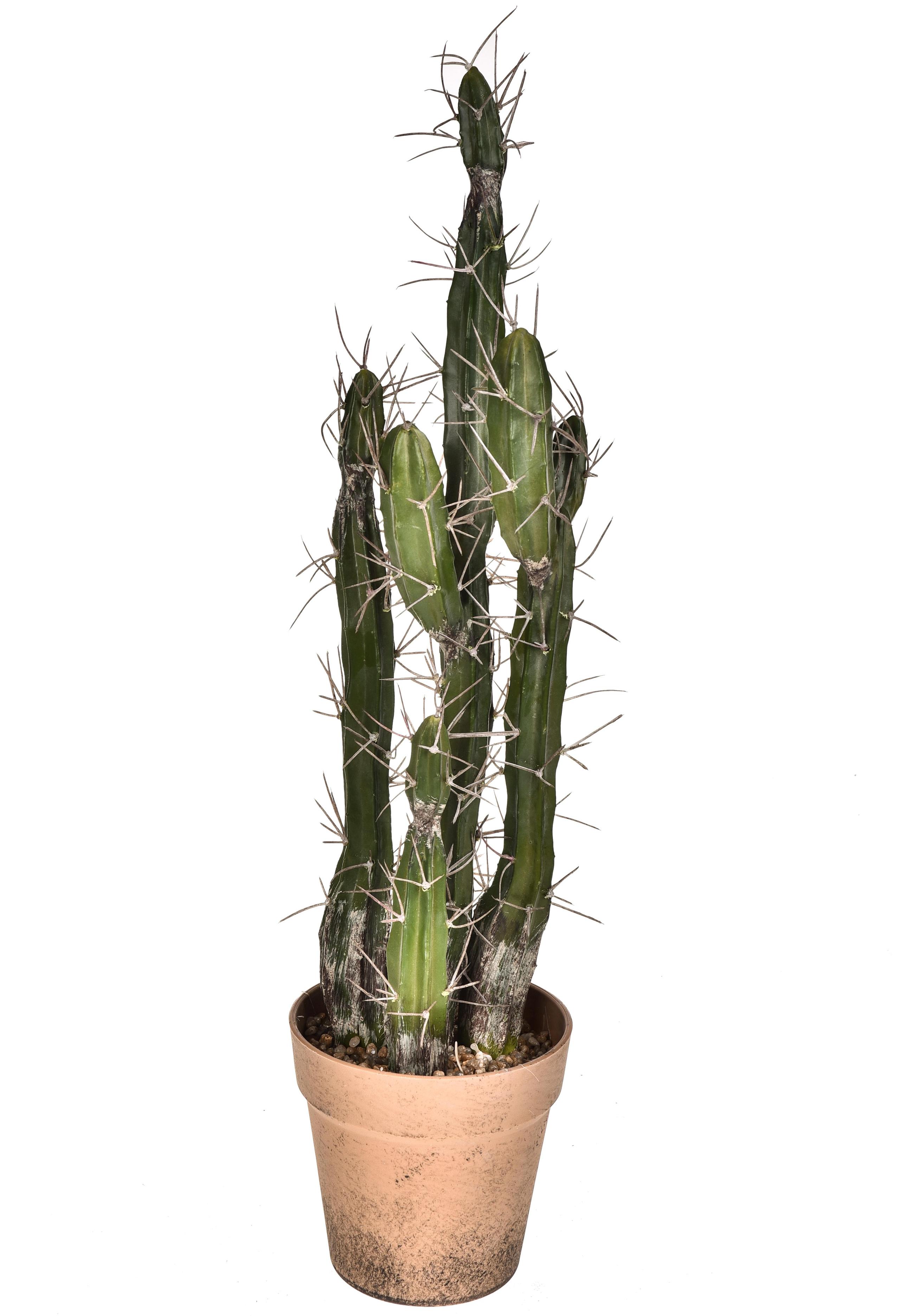 foto del prodotto pianta di cactus artificiale con vaso altezza 61 cm verde