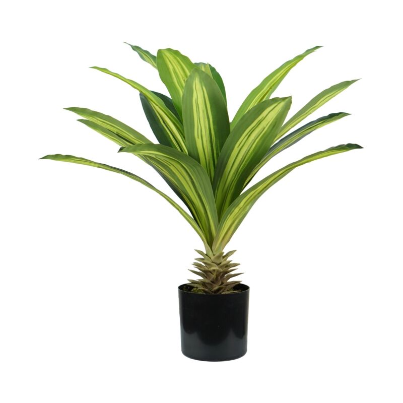 foto del prodotto pianta di dracaena in polietilene con 19 foglie, 60 cm