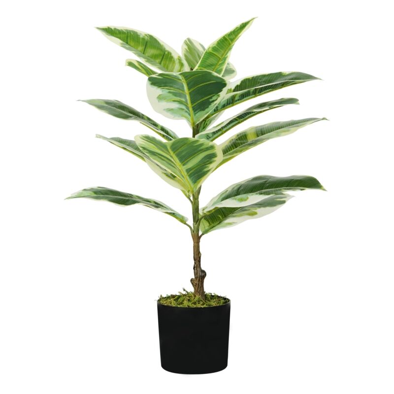 foto del prodotto pianta di ficus elastica in polietilene con 15 foglie, 65 cm