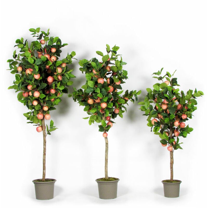 foto del prodotto pianta di melo seminaturale • frutti rossi/rosa • tronco naturale • h. da 125 cm a 300 cm - 125
