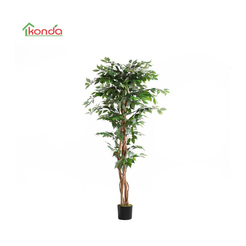 foto del prodotto pianta ficus artificiale 180 cm.