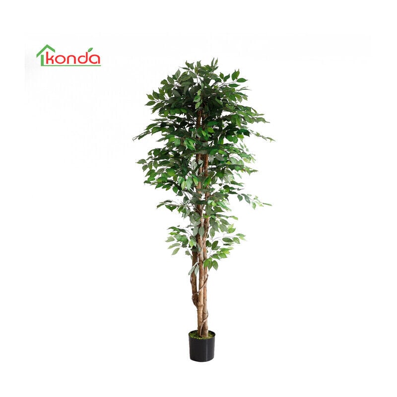 foto del prodotto pianta ficus artificiale 210 cm.