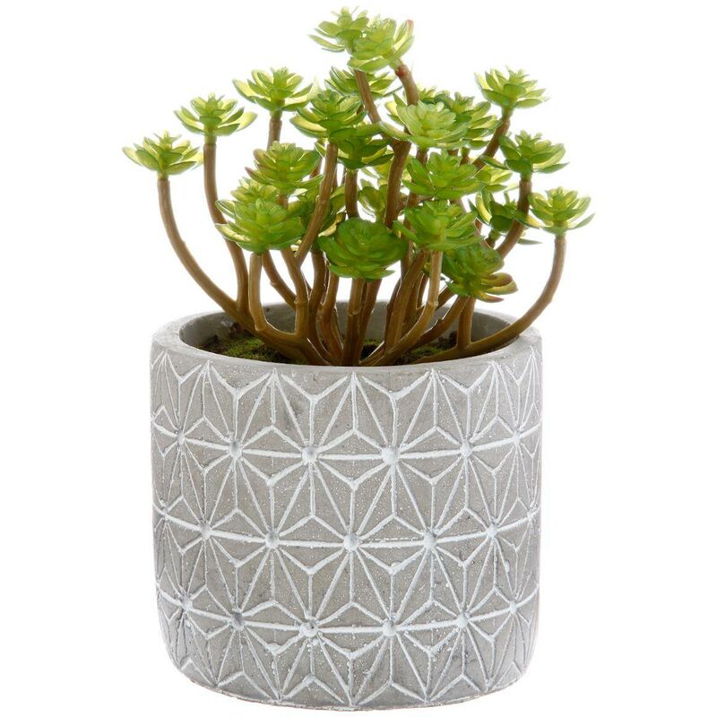 foto del prodotto pianta grassa artificiale vaso in cemento h17cm - modello a atmosphera cr ateur d'int rieur