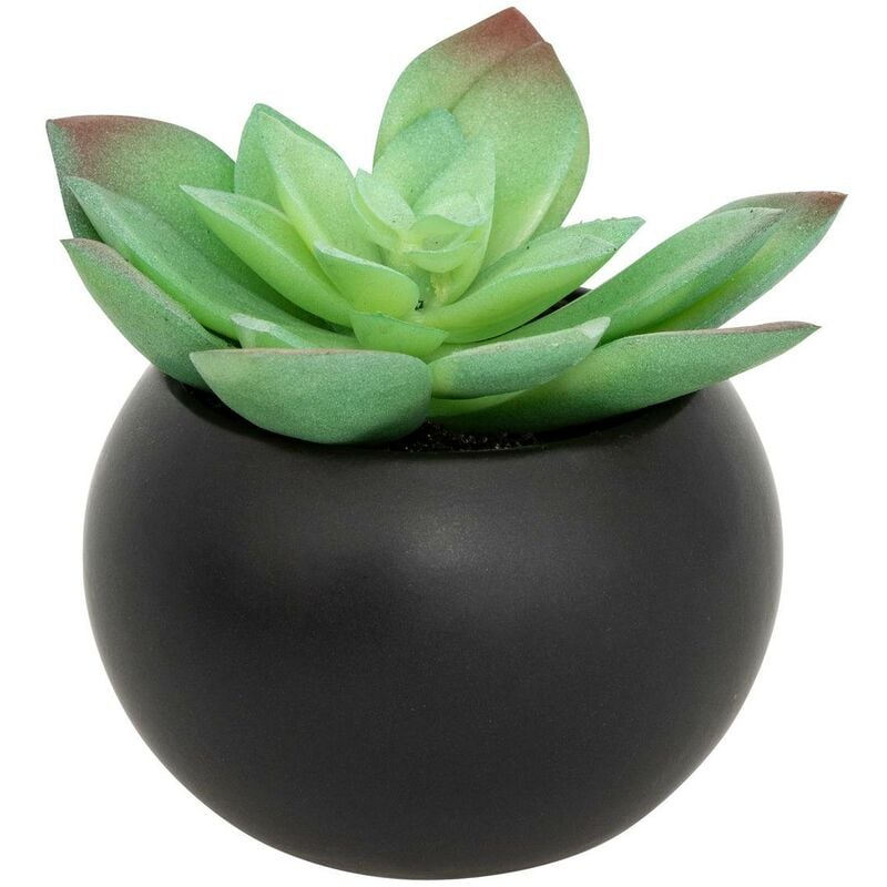 immagine 0 del prodotto pianta grassa in vaso h13 mod le g noir atmosphera cr ateur d int rieur