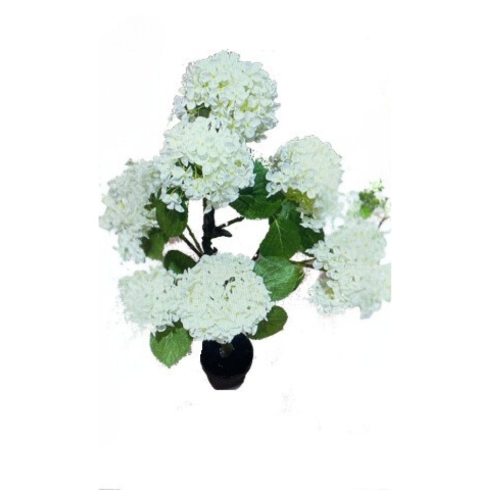 foto del prodotto pianta ornamentale di ortensia in vaso 150 cm colore bianco