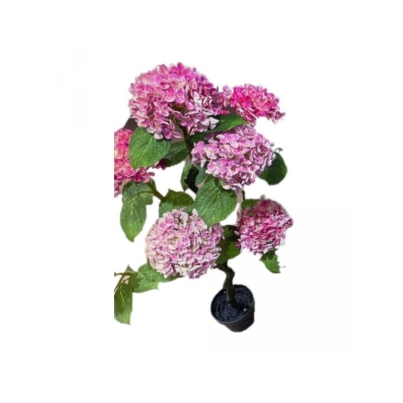 foto del prodotto pianta ornamentale di ortensia in vaso 150 cm colore rosa