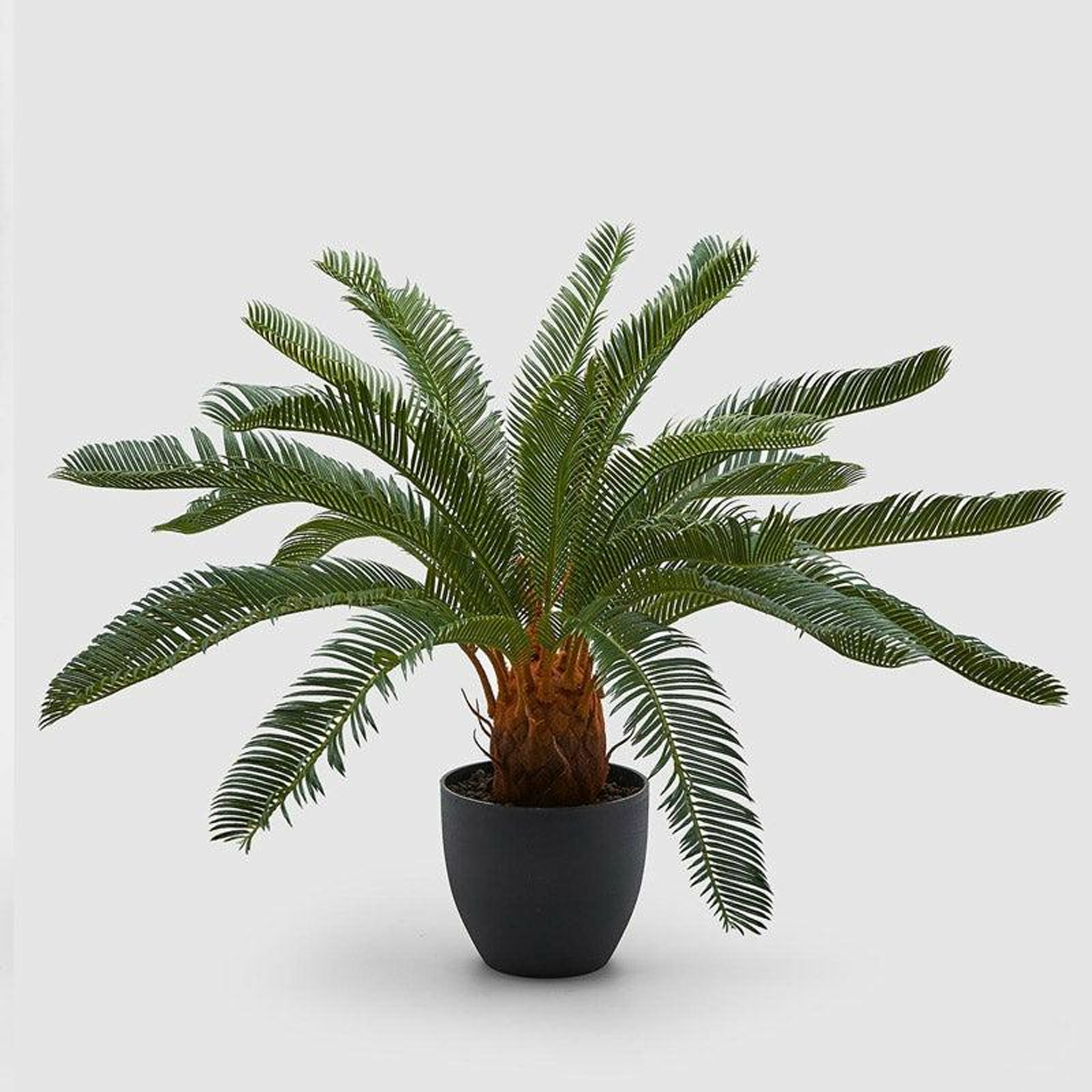 foto del prodotto pianta ornamentale per interno ed esterno albero di cycas artificiale in vaso 92cm