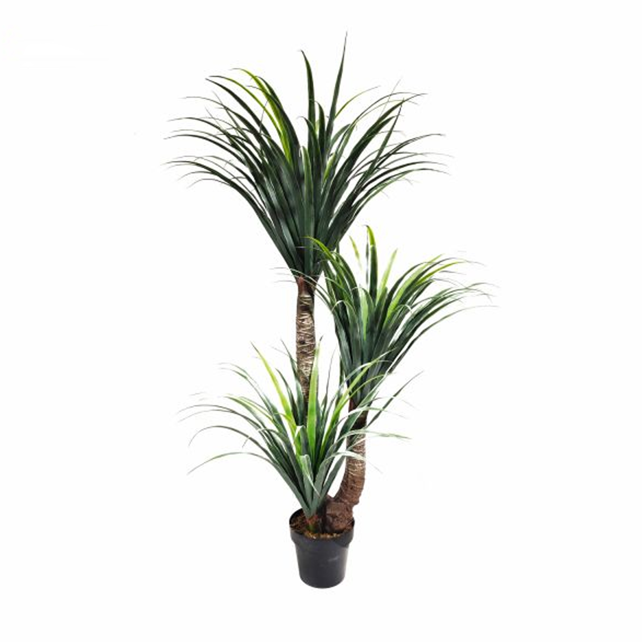 foto del prodotto pianta ornamentale per interno ed esterno albero di dracena artificiale in vaso 150cm