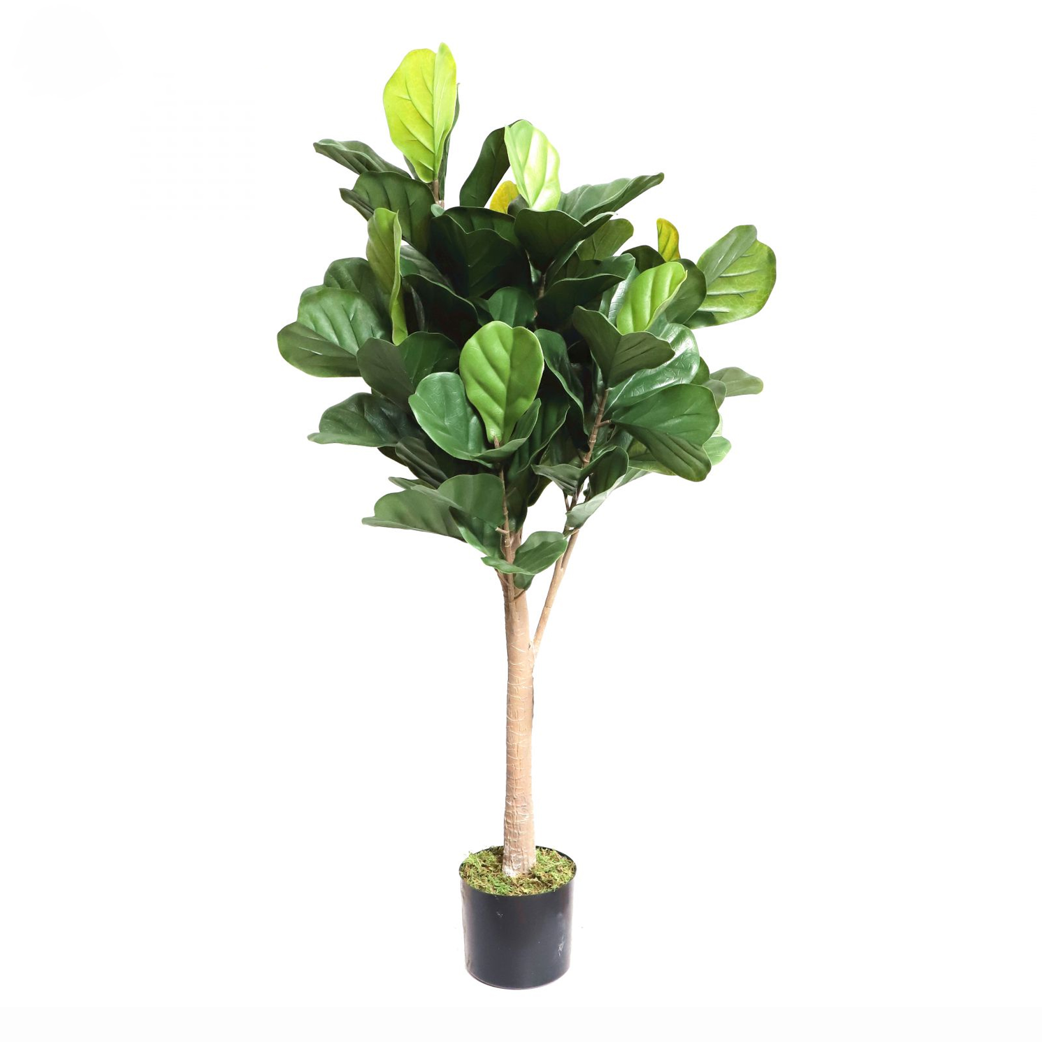 foto del prodotto pianta ornamentale per interno ed esterno albero di fico a foglia di violino artificiale in vaso 125cm