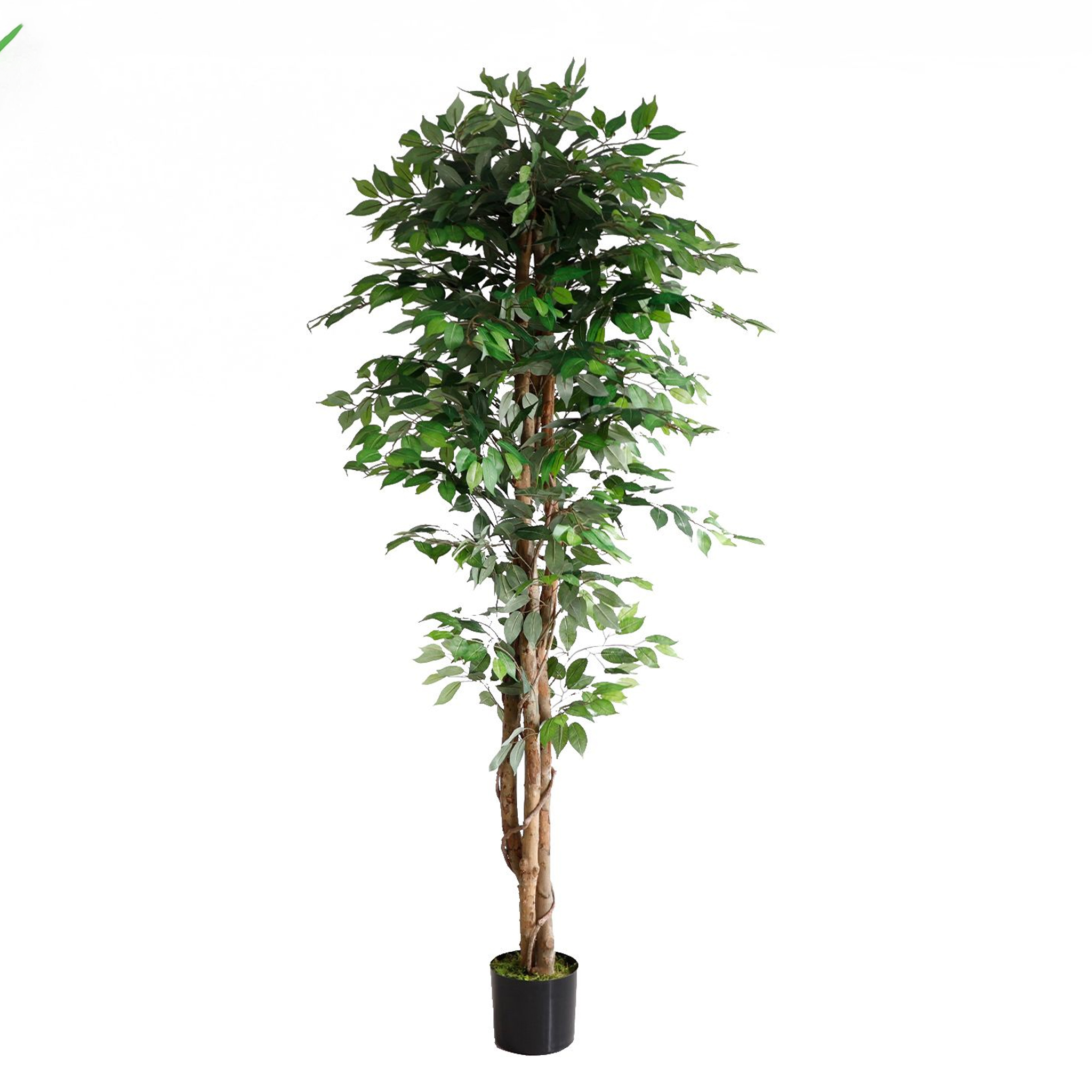 foto del prodotto pianta ornamentale per interno ed esterno albero di fico artificiale in vaso 210cm