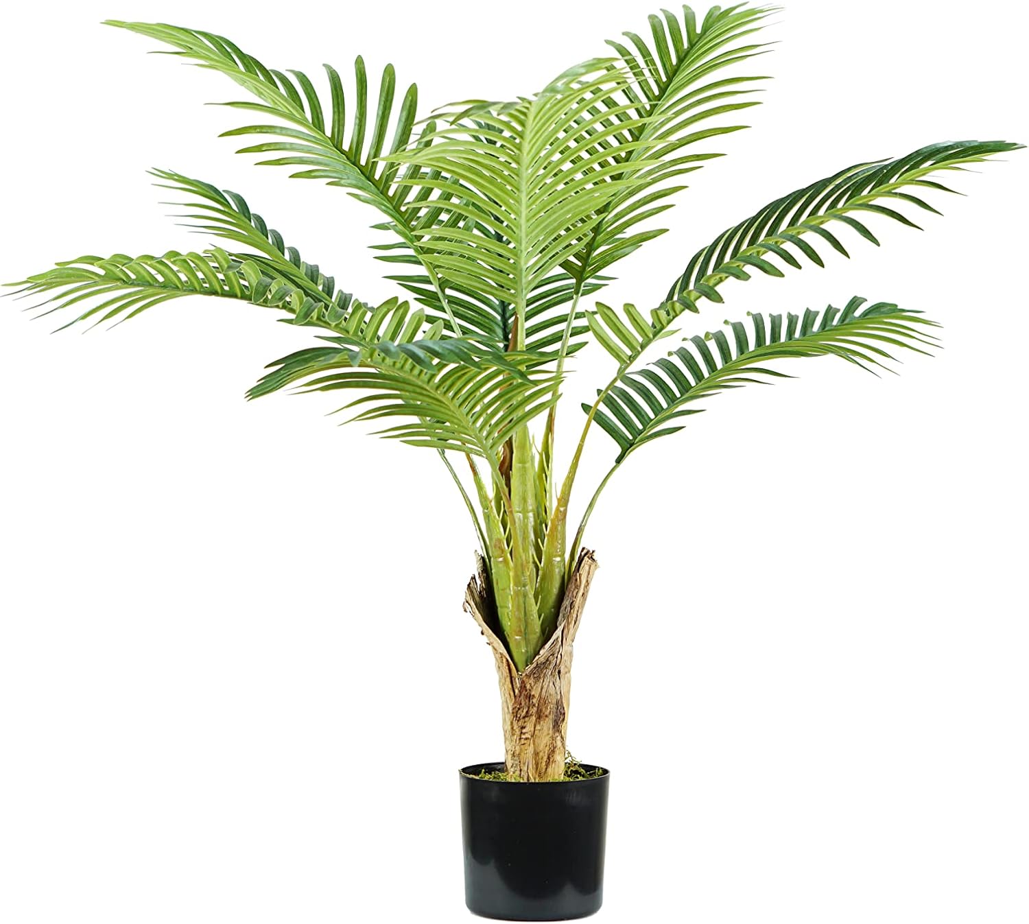foto del prodotto pianta palma areca h. 90 cm 9 foglie completa di vaso con muschio king home