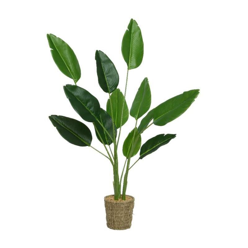 foto del prodotto pianta strelitzia artificiale