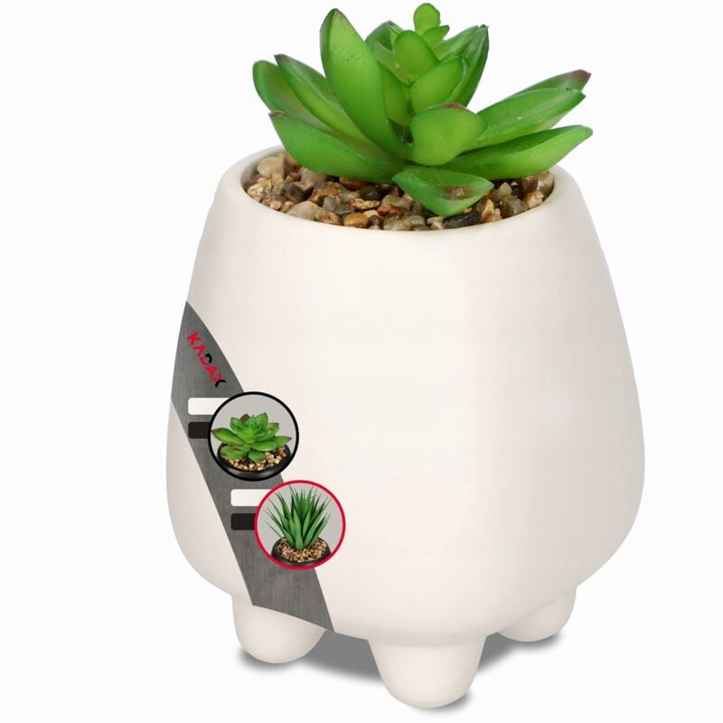 foto del prodotto pianta succulenta decorativa con fiori artificiali 10,5 cm kadax