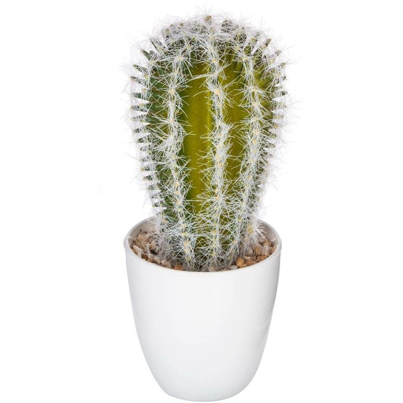 foto del prodotto pianta succulenta e cactus h18cm modello e atmosphera cr ateur d int rieur