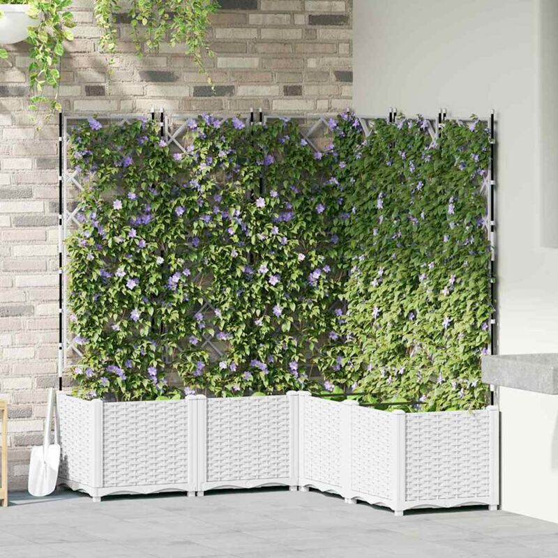 foto del prodotto piantana da giardino con trellis 5 pcs bianca 120x120x143 cm vidaxl
