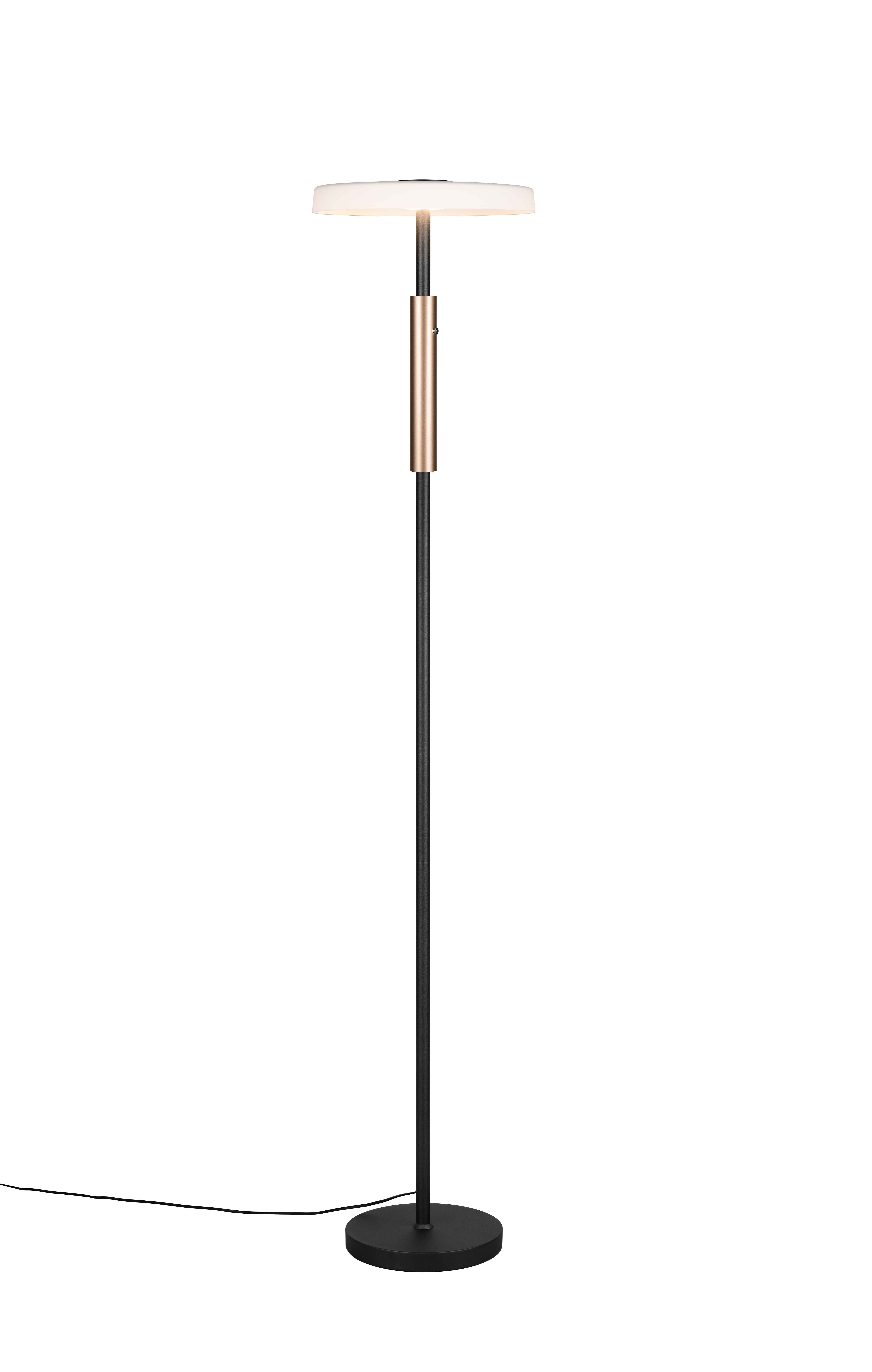 foto del prodotto piantana led, metallo e vetro, caff e bianco, h 130 cm, celeste