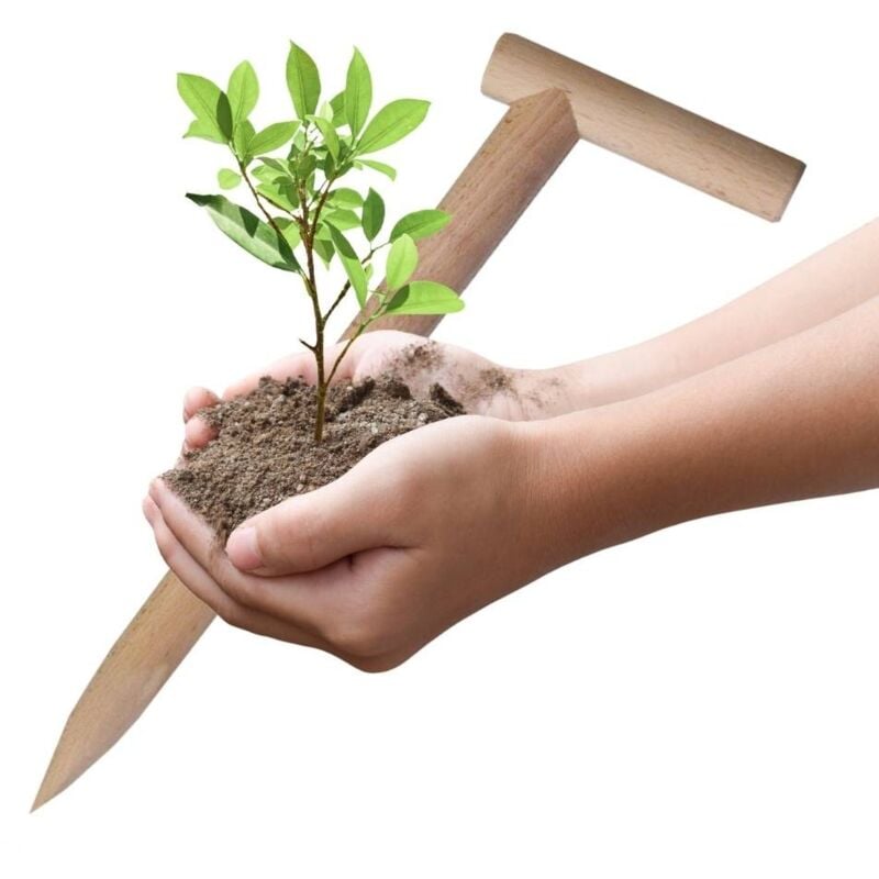 foto del prodotto piantatore per orto giardino in legno naturale foraterra o trapiantatore manuale per piantine resistente leggero 44 x 13 x 3 cm